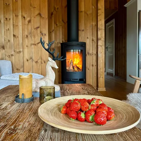 Mountain Nesfjellet Sauna, Hot Tub & Skiing Nesbyen