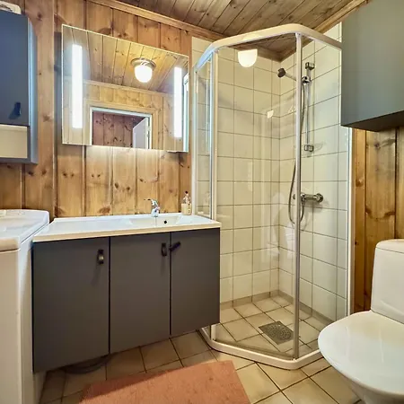 Mountain Nesfjellet Sauna, Hot Tub & Skiing * Nesbyen